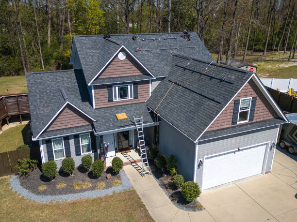 Best Roof Moss and Algae Removal  in Mcsherrystown, PA